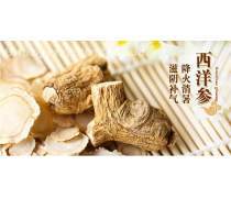 西洋參 滋補養生的天然瑰寶